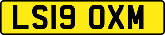LS19OXM
