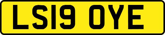 LS19OYE