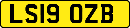 LS19OZB