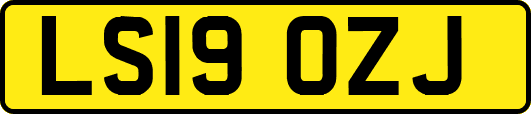 LS19OZJ