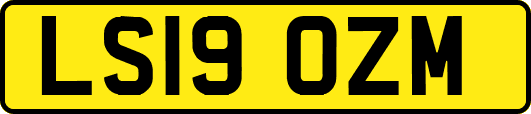 LS19OZM