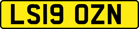 LS19OZN