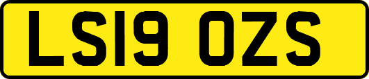 LS19OZS