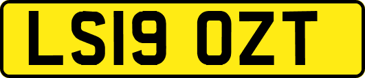 LS19OZT