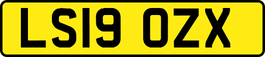 LS19OZX