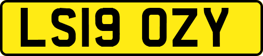 LS19OZY