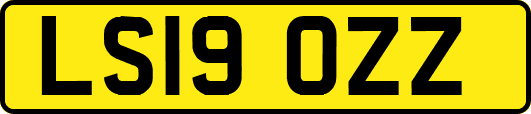 LS19OZZ