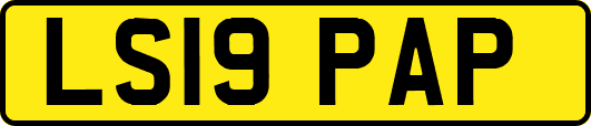 LS19PAP
