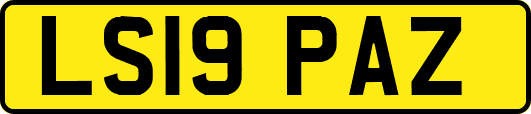 LS19PAZ