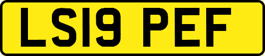 LS19PEF