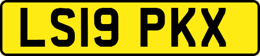 LS19PKX