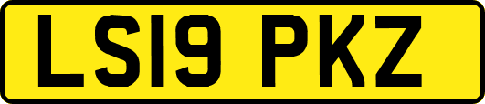 LS19PKZ