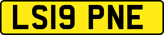 LS19PNE