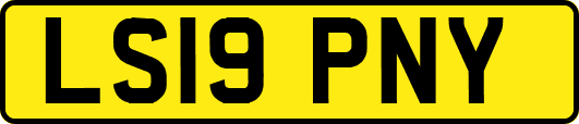 LS19PNY