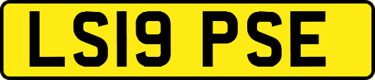 LS19PSE