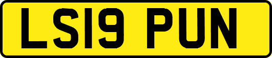 LS19PUN