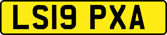 LS19PXA