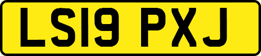 LS19PXJ
