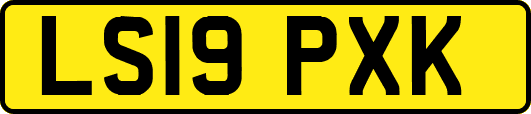LS19PXK
