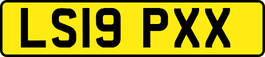LS19PXX