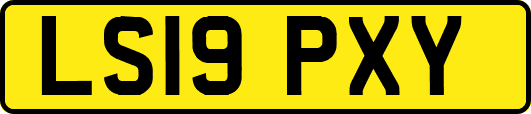 LS19PXY
