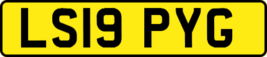 LS19PYG