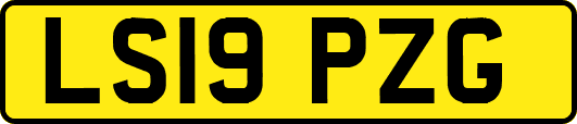 LS19PZG