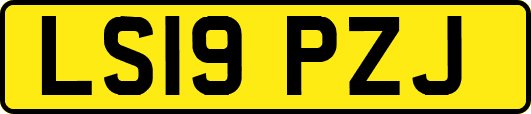 LS19PZJ