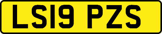 LS19PZS