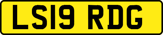 LS19RDG