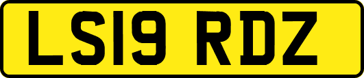 LS19RDZ