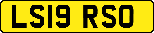 LS19RSO