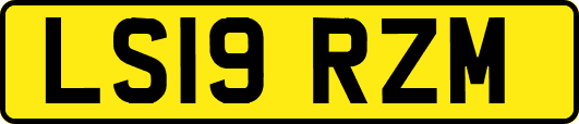 LS19RZM