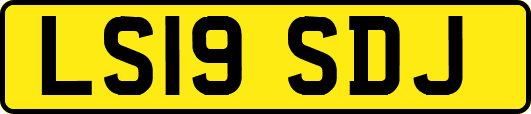 LS19SDJ