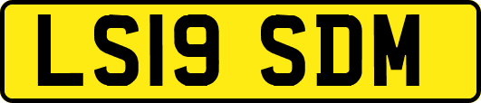 LS19SDM