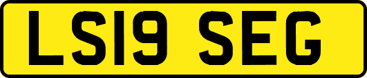 LS19SEG