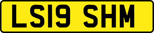LS19SHM