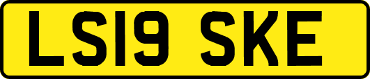 LS19SKE