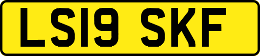 LS19SKF
