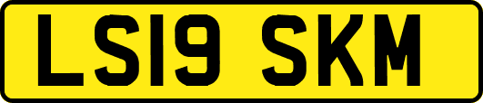 LS19SKM