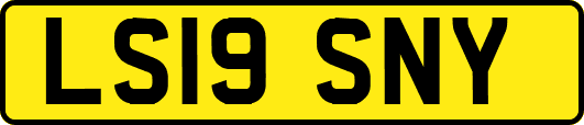 LS19SNY