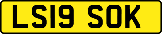 LS19SOK