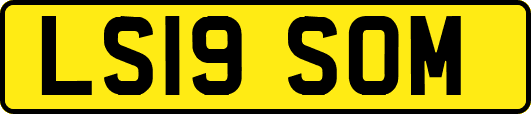 LS19SOM