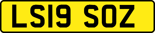 LS19SOZ