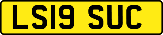 LS19SUC