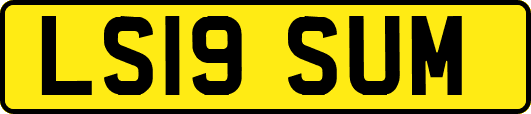 LS19SUM