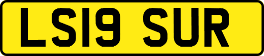 LS19SUR