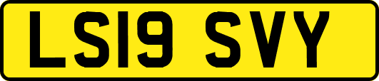 LS19SVY