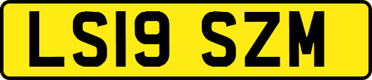 LS19SZM