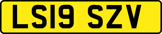 LS19SZV